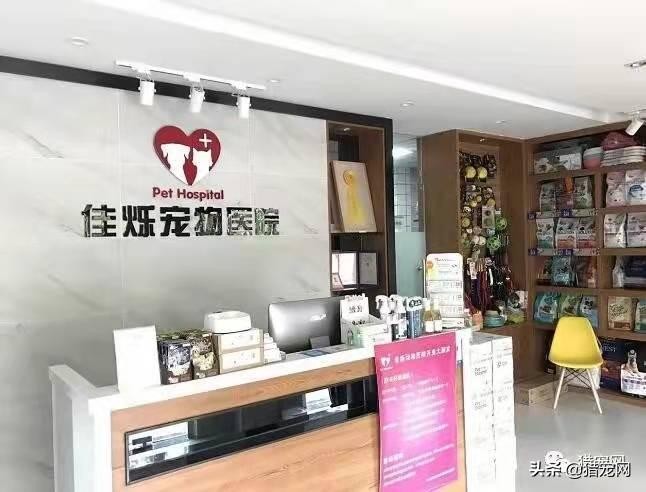 全国宠物店宠物医院招聘信息欢迎推荐或自荐