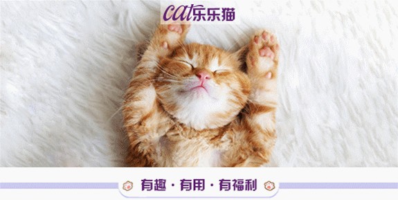 我寻思着一只猫能够“窝里横”到什么程度，直到我遇到了蓝胖子