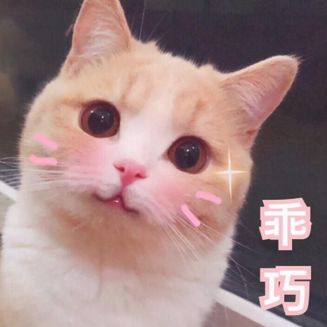 猫咪黑下巴会自愈吗？