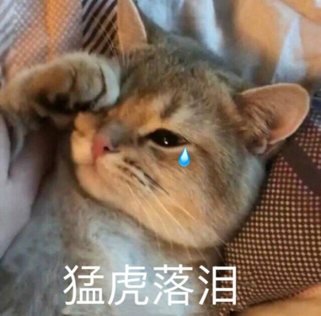 猫咪眼泪多是怎么回事？